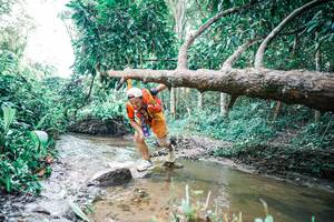 BIB: 
                            <button type="button" onclick="openModal(25376108)" class="btn btn-primary btn-sm float-right btn-popup" data-toggle="modal" data-target=".modal-high-quality">
                        <i class="fas fa-shopping-cart"></i> Add to Cart
                    </button>
                                            <button type="button" onclick="isThisMe(25376108, true)" class="btn btn-success btn-sm float-right btn-popup btn-isme hidden" data-toggle="tooltip" data-placement="bottom" title="นี่คือรูปของคุณใช่ไหม คลิกที่นี่เพื่อเอาเข้าอัลบั้ม">
                        <i class="fas fa-plus"></i> Add to album
                    </button>
                    <button type="button" onclick="isThisMe(25376108, false)" class="btn btn-warning btn-sm float-right btn-popup btn-isnotme hidden">
                        <i class="fas fa-ban"></i> Remove from album
                    </button>